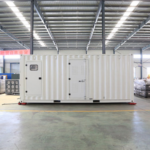 Grupo Electrógeno de Gas Natural Silencioso en Contenedor de 800kW, 1000kVA, Insonorizado, con [Marca del Motor] para Central Eléctrica - Product Image 2