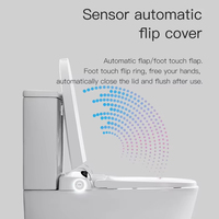 2024 China Water mark New Smart WC Zweiteiliges Smart WC WC Randlose P-Falle Keramik Toiletten schale