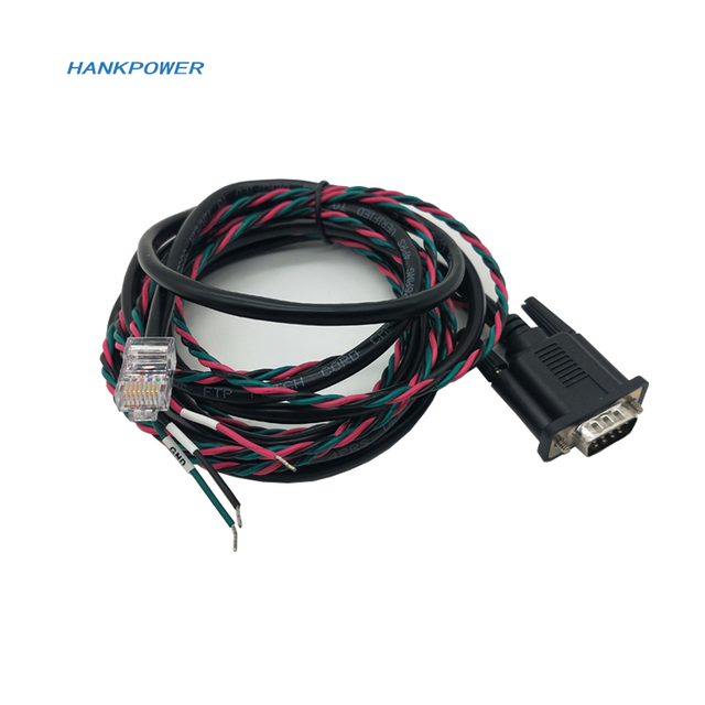 Customize RS232 DB9 to RJ45 8P8C Console Cable RS232 Serial Console 9pin D Sub Extension Connector Cable