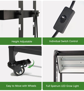 Étagère de culture hydroponique intérieure à 2 niveaux, réglable en hauteur, avec roulettes, structure en fer, pour jardin domestique, avec LED de culture 48W 6500K - Product Image 4