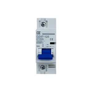 Manufacturer 1p 125a Mini Circuit Breaker for Din Rail 80-125amp Overload And Short Circuit Protection Air Switch