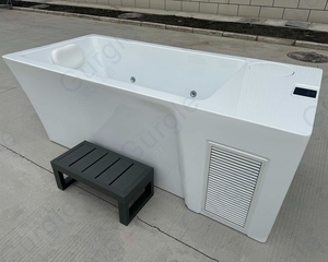 Baru dikembangkan Plunge air dingin terapi es mandi akrilik nol Set up semua dalam penggunaan komersial
