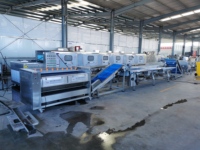 Equipo Automático para el Procesamiento de Yuca y Patata, Línea Industrial para Pelar, Cortar, Lavar y Deshidratar Remolacha y Cebolla, Procesamiento de Ensaladas