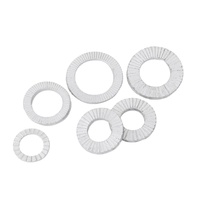 10mm 12mm Acier Au Carbone 4.8 8.8 10.9 12.9 Bleu Blanc Zinc Galvanisé Double Pli Rondelle Autobloquante DIN 25201