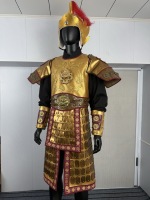 Ensemble d'armure de général chinois antique doré, motif dragon, costume de guerrier, casque à plumes rouges, reconstitution historique, scène