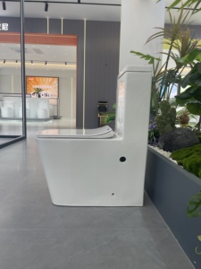 Hiện đại một mảnh gốm commode không có vành Đỏ bừng nhà vệ sinh thiết lập với dual-tuôn ra nước lưu trữ thiết bị bồn rửa & nhà vệ sinh bát - Product Image 3
