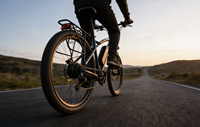 Vélo électrique de montagne 36V 350W, moyeu arrière, 7 vitesses, freins à disque doubles sans balais, batterie lithium haute vitesse dissimulée, autonomie 60 km