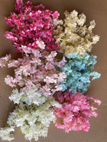 Tanaman Hias Desert Banksiae Wisteria Palsu, Tanaman Rambat Baru, Tunas Tanaman Rambat Himalaya Lace Glory, Duri Tanaman Rambat, Duri Mandevilla, Mawar