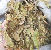 Feuilles et fleurs de tilleul séchées de qualité supérieure, tisane 100% naturelle pour apaiser, relaxer et favoriser la santé digestive