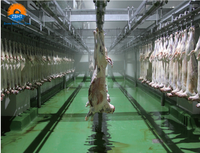 Équipement d'abattage de moutons à roulement en acier inoxydable haute efficacité, fonctionnement manuel, capacité de 10 à 2000 unités pour abattoir long