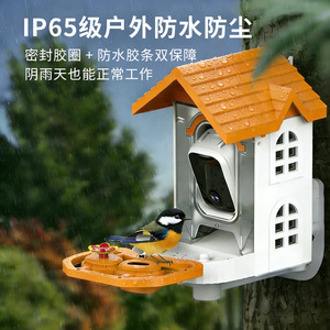 Caméra d'alimentation pour oiseaux intelligente 2K Ultra HD avec reconnaissance IA, alimentation solaire, étanche IP65, support détachable - Product Image 5