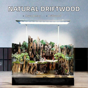 Madera natural pulida grande de Guangdong para acuarios y paisajismo, decoración de jardín, hecha en Guangdong, venta al por mayor - Product Image 2