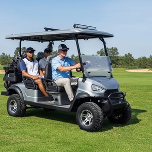 Voiture de <span class=keywords><strong>golf</strong></span> électrique miniature Holladay au prix d'usine, moteur AC 3,<span class=keywords><strong>5</strong></span> kW, batterie 60 V 100 Ah, autonomie de 70 à 90 km, 6 places, certifiée CE - Product Image 2