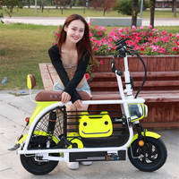 Vélo Électrique Monoplace D1 Little Dudu de Haute Qualité pour Animaux de Compagnie, Scooter pour Chiens de Petite/Moyenne Taille, 38kg, 48V, Cadre en Acier, Moteur Arrière 400W