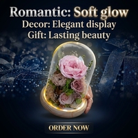 Geconserveerde roos glazen stolp eeuwige bloemarrangement gedroogde bloemen display romantisch cadeau voor Moederdag nieuwjaar huisdecoratie
