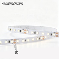Bande LED 24V SMD2835 Monochrome Ultra Lumineuse Flexible et Découpable avec Télécommande, PCB 8mm Personnalisable CCT