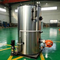 Générateur de vapeur au gaz naturel 150 kg/h 105 kW en acier inoxydable pour la pasteurisation et le traitement du lait