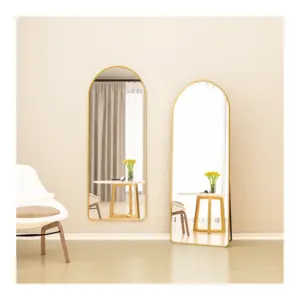 Cermin lantai dekorasi, Modern dekoratif panjang perak balutan aluminium dibingkai bebas berdiri