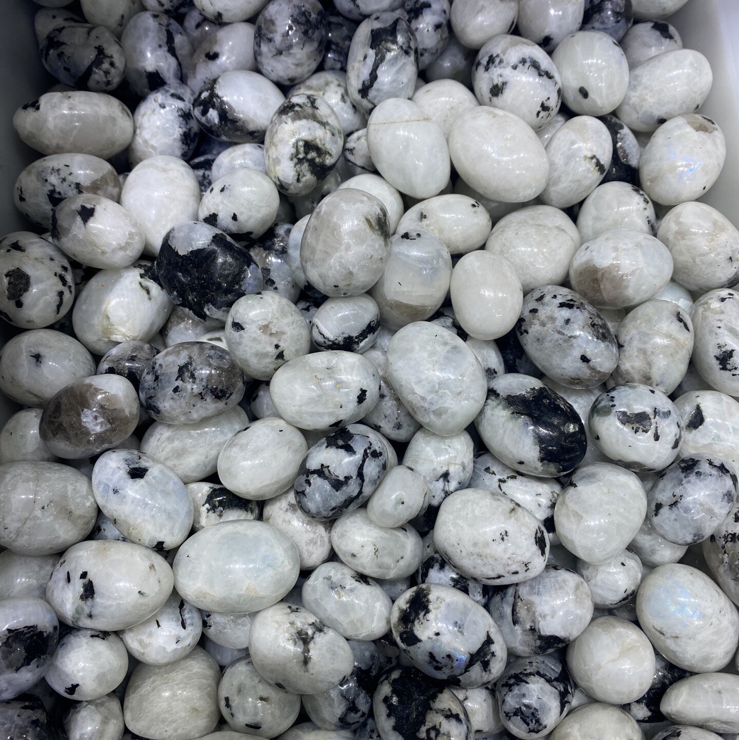 Black Spot White Moon Stone
