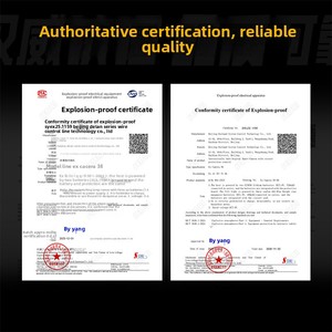 Delan BAN Type Petrochemical 1 Zone Ex <b>Camera</b> R8 Explosion-Proof Digital with High Accuracy - Product Image 1