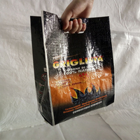Sacs de briquettes de charbon de bois pp Bopp enduit 5kg 10kg morceau de bois dur charbon de bois de coco BBQ charbon de bois sac d'emballage 3kg 8kg emballage 25kg