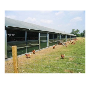 Prix usine poulet <span class=keywords><strong>maison</strong></span> plans de construction structure en acier claire portée poulaillers à vendre - Product Image 4