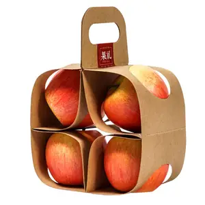 2021 새로운 디자인 과일 포장 크래프트 종이 가방 사과와 오렌지