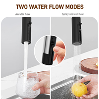 Keran Dapur Tarik Keluar TOPWAY Single Handle Stainless Steel 304 dengan Sprayer 2 Fungsi