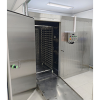 Industriële IQF Tunnelvriezer, snelle individuele snelvriezing, hoge capaciteit 4000kg/u voor fruit, groenten en vis.
