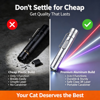 Vente directe d'usine, bâton pour chat en métal écologique amusant avec lumière LED rouge, torche laser, jouet laser pour chat, emballage en carton