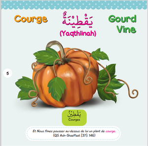 Fransızca arapça İngilizce müslüman çocuklar kuran kelime kitapları - Product Image 6