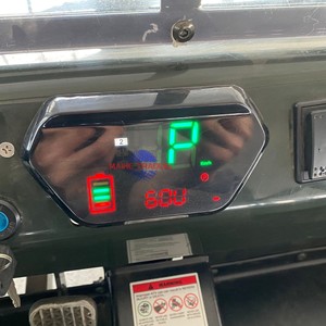 Vehículo Todoterreno de Gasolina, 2WD, Construcción con Estructura de Acero, 2 Plazas - Product Image 5