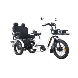 Nuevo Triciclo Eléctrico de 24 Pulgadas para Desplazamientos Diarios 2026 con Neumáticos Anchos y Batería de Litio Dual de 48V 132Ah para Recorridos de Larga Distancia en Venta - Product Image 3