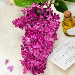 Flores Artificiales de Lila de Plástico Suave al Tacto, Textura Realista, Decoración para Hoteles, Bodas, Hogar, Adornos para Fotografía en Exteriores - Product Image 2