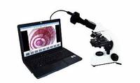Cámara de Microscopio Digital con Montura C de 2592x1944, Cámara de Ocular de Microscopio de 5MP, Cámara de Microscopio USB para Investigación Biológica
