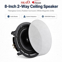 Haut-parleur de plafond OEM d'usine 8 pouces, grille magnétique blanche, tweeter à dôme en aluminium 25 mm, étanche IPX-4/6 en plastique pour home cinéma