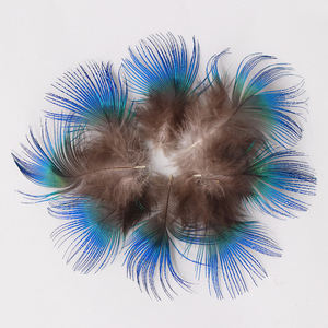 Plumes <span class=keywords><strong>de</strong></span> <span class=keywords><strong>paon</strong></span> bleu royal pour décoration <span class=keywords><strong>de</strong></span> mariage en vrac, fournitures <span class=keywords><strong>de</strong></span> centre <span class=keywords><strong>de</strong></span> table pour <span class=keywords><strong>bouquet</strong></span> <span class=keywords><strong>de</strong></span> mariée bricolage - Product Image 1