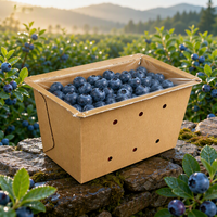 Op maat gemaakte print diepe papieren fruitpunnet kraft witte kartonnen doos geperforeerd hitte verzegelde productverpakking OEM ODM