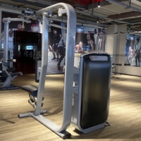 Shandong Lanbo Pectoral Fly Equipment Fitness Equipment Exercice Force Gym Commercial Poitrine Presse Machine