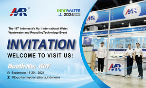 Salida de fábrica 250L por hora RO Planta Sistema de tratamiento de agua Máquina Ósmosis inversa con núcleo RO Membrana 220V - Product Image 6