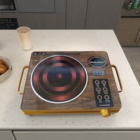 Marque Premium 2500W Cuisinière à induction infrarouge Durable En acier inoxydable 220V Cuisinière électrique Utilisation de la voiture en plein air Hotpot Caractéristique