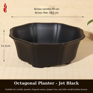 Vasi per <span class=keywords><strong>Bonsai</strong></span> e Piante Grasse in Resina, Design Ottagonale Stile Semplice, Formato Gallone - Product Image 2