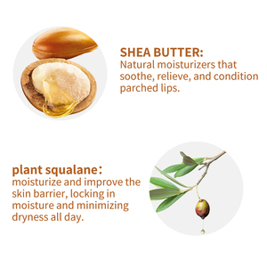 Großhandel natürliche Lippen behandlung Private Label Keramik Applikator Anpassen Feuchtigkeit spendende Bio Vegan Chaps tick Lippen balsam (neu) - Product Image 4