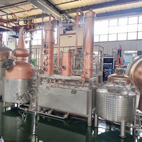 300L Still Chauffage électrique High Proof Grain Neutral Spirit pour la fabrication de gin et la redistillation pour gin Alcool Still Machine