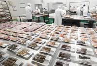 Chambre froide commerciale pour cuisine centrale, projet de congélateur-réfrigérateur pour aliments