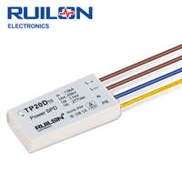 Protecteur de surtension RUILON SPD 20kV pour éclairage public, alimentation électrique, dispositif de protection contre la foudre, module de protection contre les surtensions pour éclairage routier