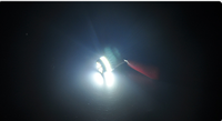 Ampoule LED de voiture de haute qualité 12V 24W T10 3014 SMD LED 29mm 6614 6 3014 LED