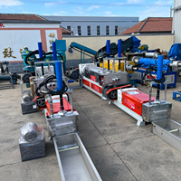 Solution complète de recyclage plastique : granulateur + extrudeuse + ligne de pelletisation pour le recyclage de HDPE, LDPE, EPS, PA, PPR