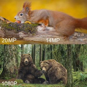 กล้องติดตามสัตว์ป่า 20MP 1080P 42 ดวง 940nm IR ไร้แสงสะท้อน มองเห็นในเวลากลางคืนได้ไกล 30-40 ฟุต กันน้ำระดับ IP65 ใช้สำหรับติดตั้งบนต้นไม้ สำหรับการล่าสัตว์กลางแจ้ง - Product Image 2