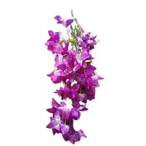 Flores Artificiales Queyiyi, Buganvillas de 103 cm, Color Morado, Decoración para Bodas, Decoración del Hogar - Product Image 5